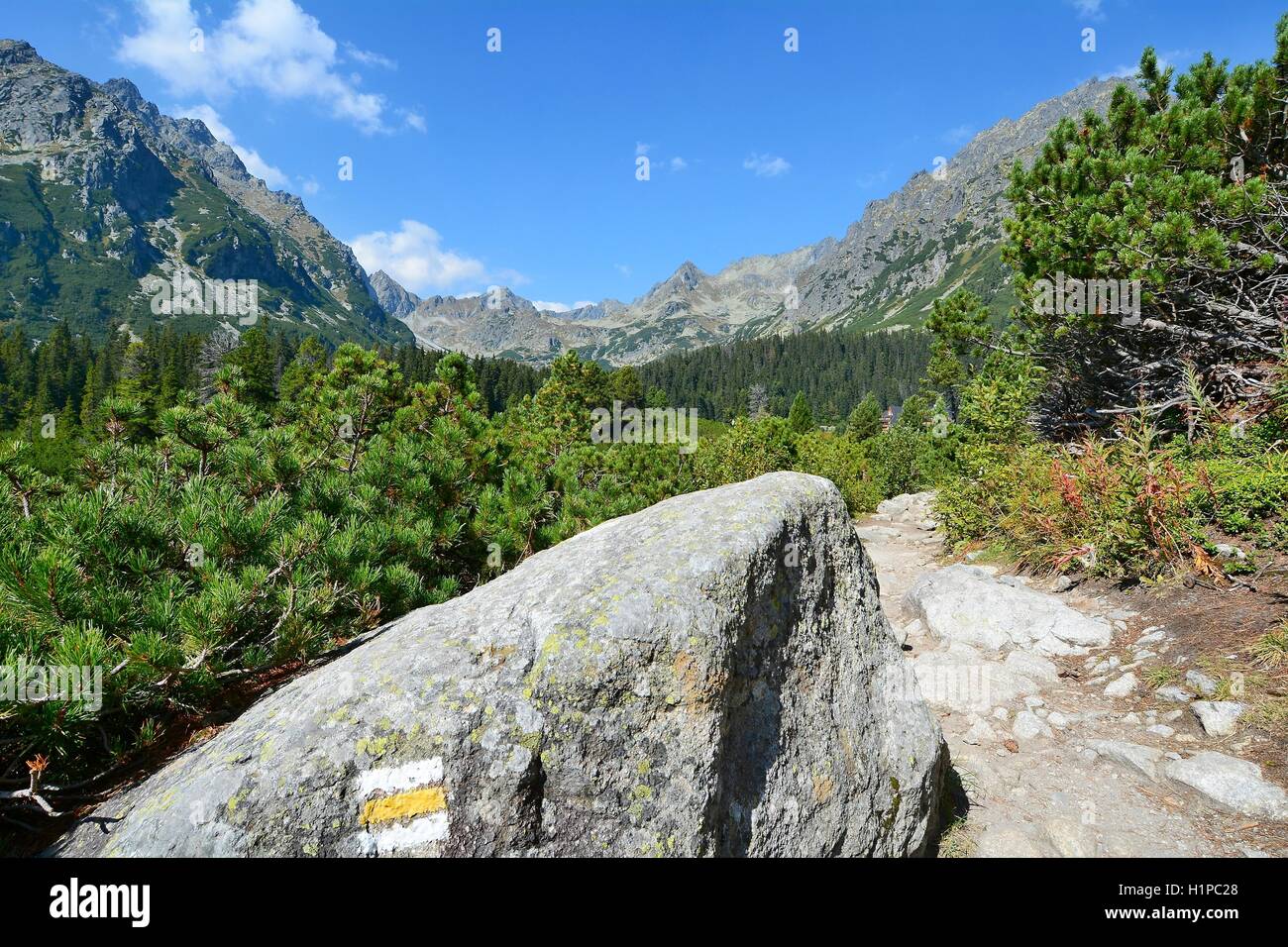 Wanderweg im Tatra-Gebirge mit gelber Markierung auf Felsen. Stockfoto