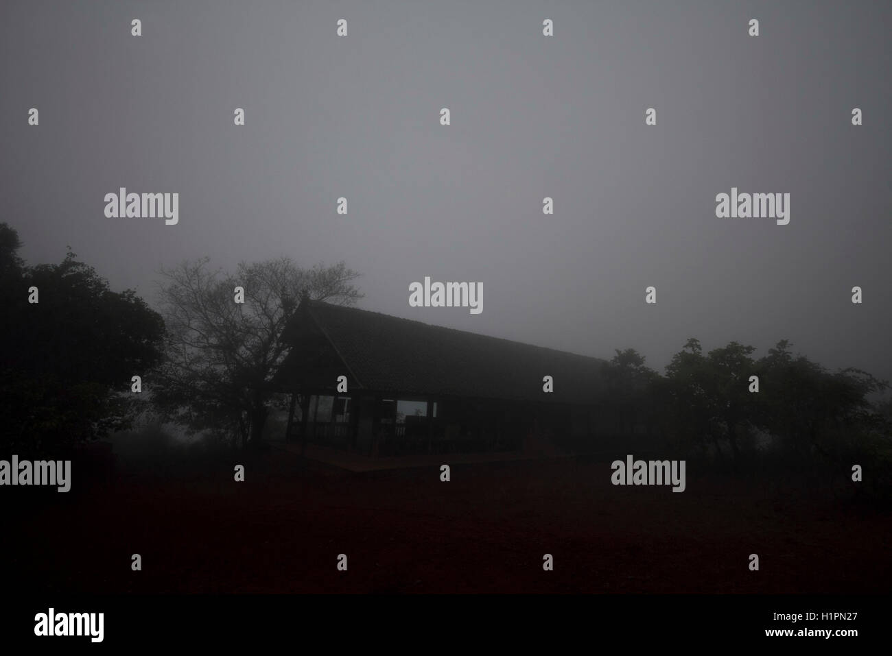 Misty Morning, chorla, Karnataka, Indien Stockfoto