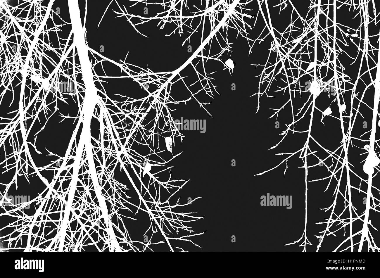 Fotografischen Schaffens in schwarz und weiß. Stockfoto