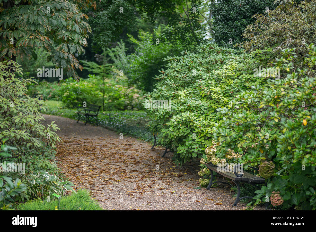 Botanischen Garten in Breslau zu Beginn des Herbstes Stockfoto