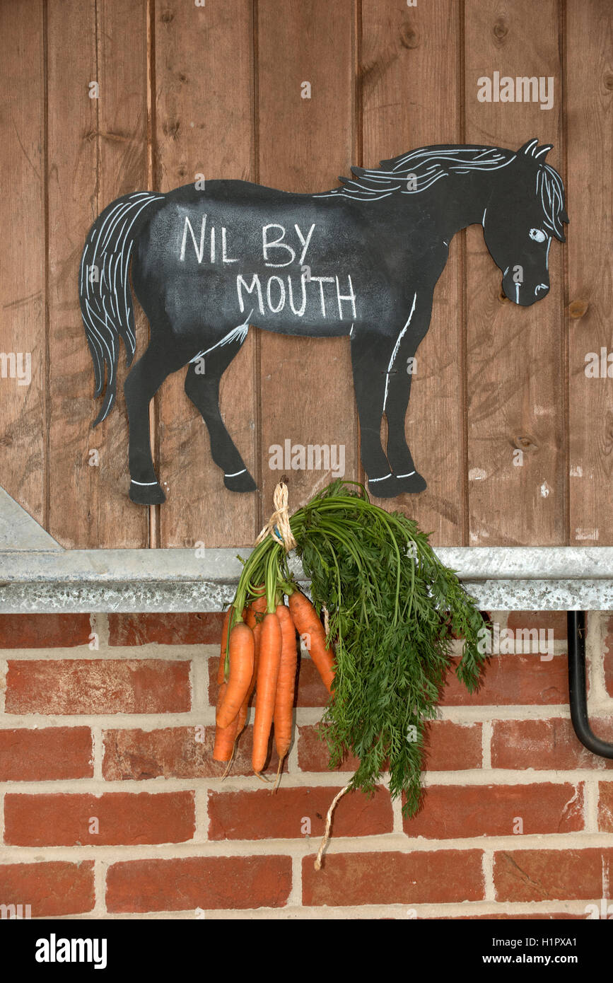 Bekanntmachung über eine stabile Tür mit einem Bündel von Karotten. Null durch den Mund geschrieben auf einer Tafel eines Pferdes ist stabil Stockfoto