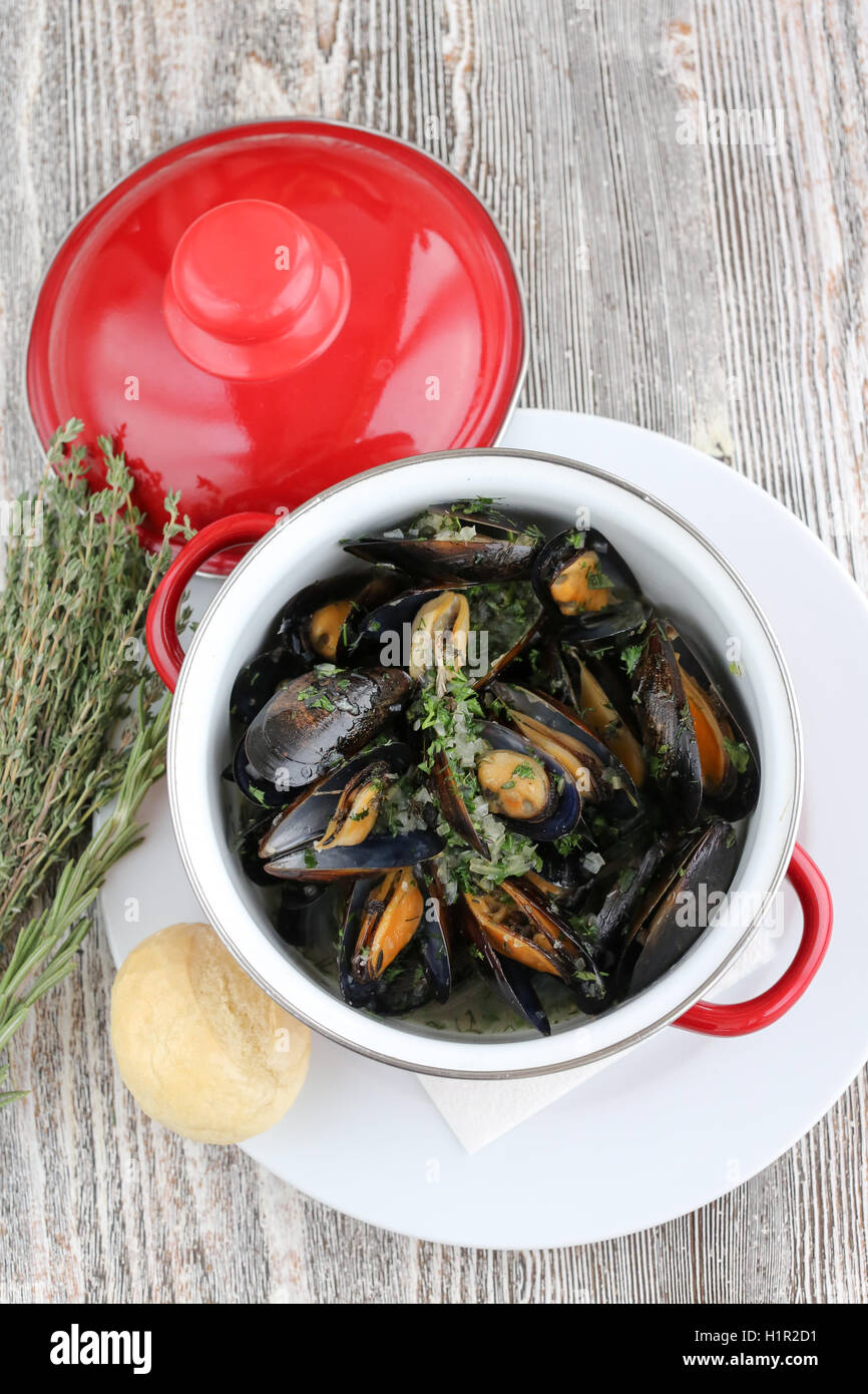 Gedämpfte Muscheln in Weißwein Stockfoto