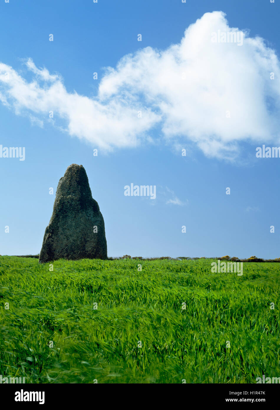 Traditionell ist der blinden Fiddler prähistorischen Monolith, West Penwith, Cornwall, Musikerin versteinert für das Spielen am Sabbat. Stockfoto