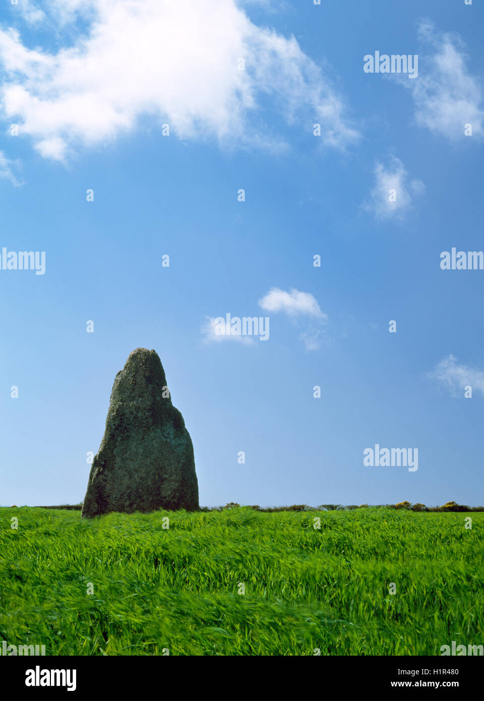 Traditionell ist der blinden Fiddler prähistorischen Monolith, West Penwith, Cornwall, Musikerin versteinert für das Spielen am Sabbat. Stockfoto