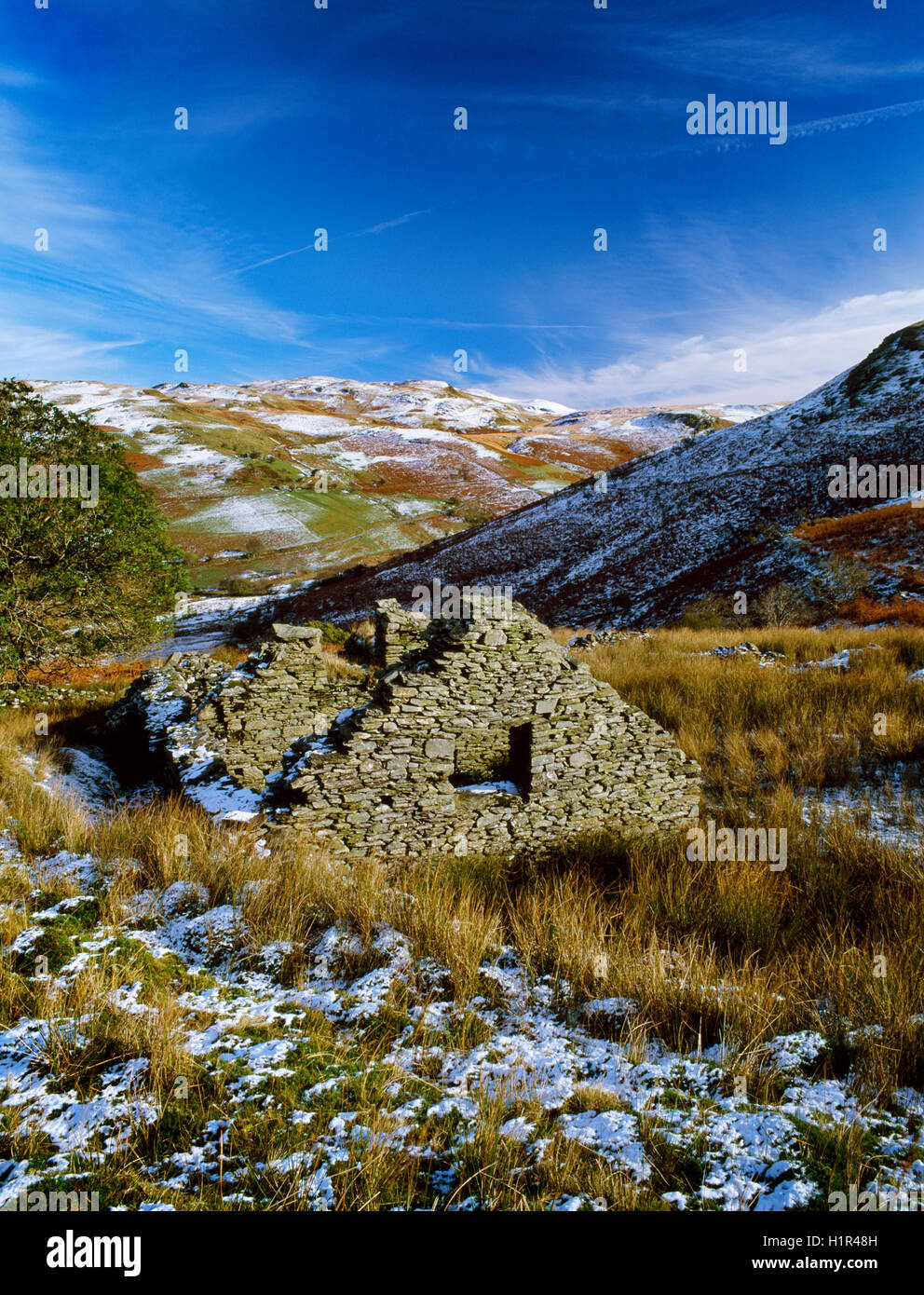 Einer der mehr als ein Dutzend aufgegeben und ruiniert Gehöfte im Mwyro-Tal, eine Fernbedienung, aber einst bevölkerten & Landschaft gut organisiert. Stockfoto