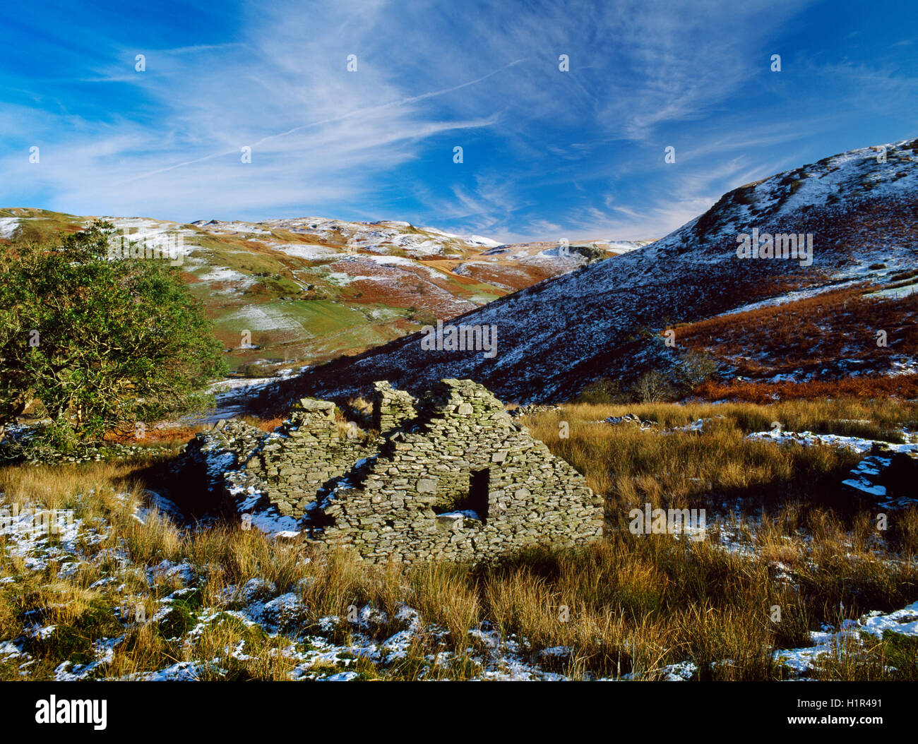 Einer der mehr als ein Dutzend aufgegeben und ruiniert Gehöfte im Mwyro Tal, Ceredigion, eine Fernbedienung, aber einst bevölkerten & Landschaft gut organisiert. Stockfoto