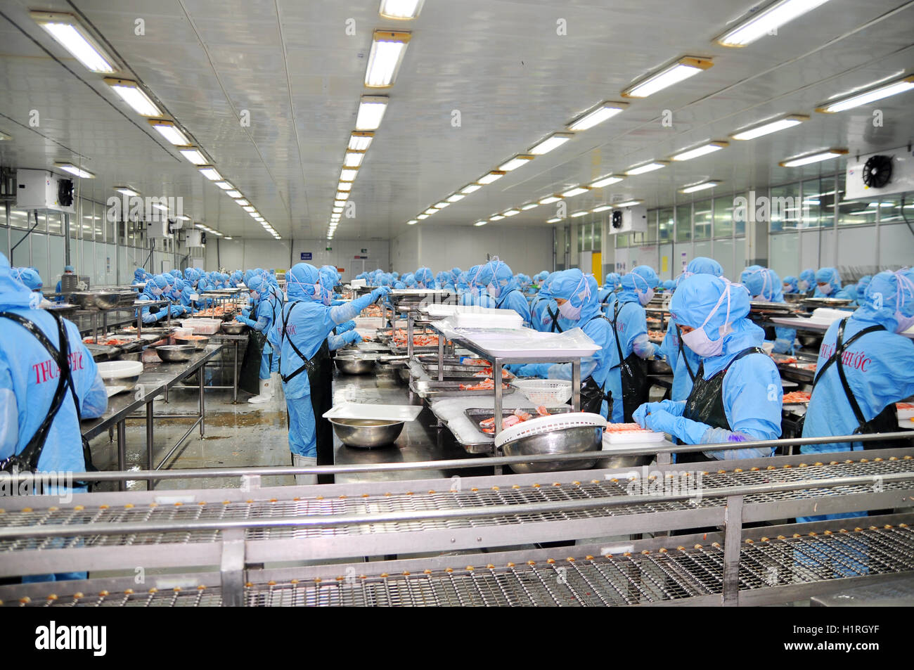 Da Nang, Vietnam - 6. März 2015: Arbeiter in einer Aufbereitungsanlage für den Export von Garnelen Meeresfrüchte arbeiten Stockfoto