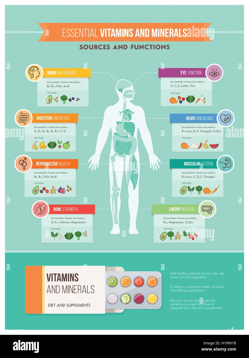 Ernährung, Vitamine und Gesundheit Infografiken: menschliche Körper, Organe, Vitamine Vorteile und Essen Quellen Infografik Stock Vektor
