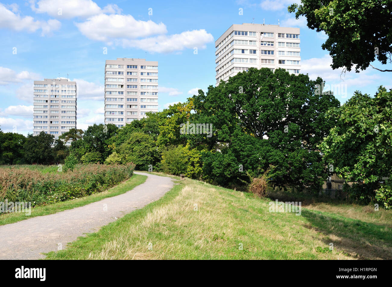 Hochhäuser in Nord-London, UK, vom Naturschutzgebiet Woodberry Feuchtgebiete Stockfoto