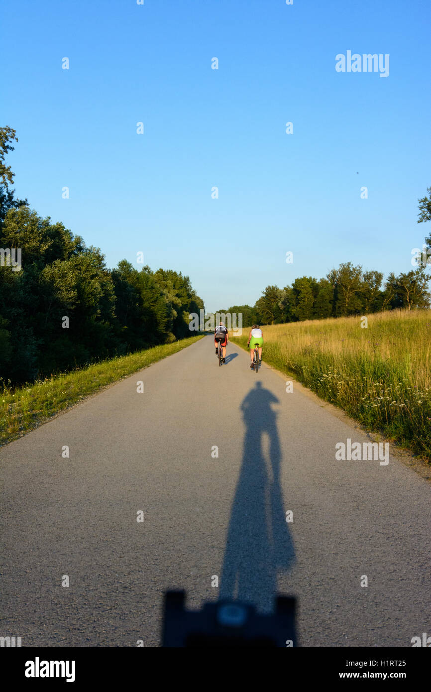 Nationalpark Donauauen, Danube-Auen-Nationalpark: Schatten der Radfahrer, eigene Perspektive, Radweg, Hubertusdamm, Donau, Niederös Stockfoto