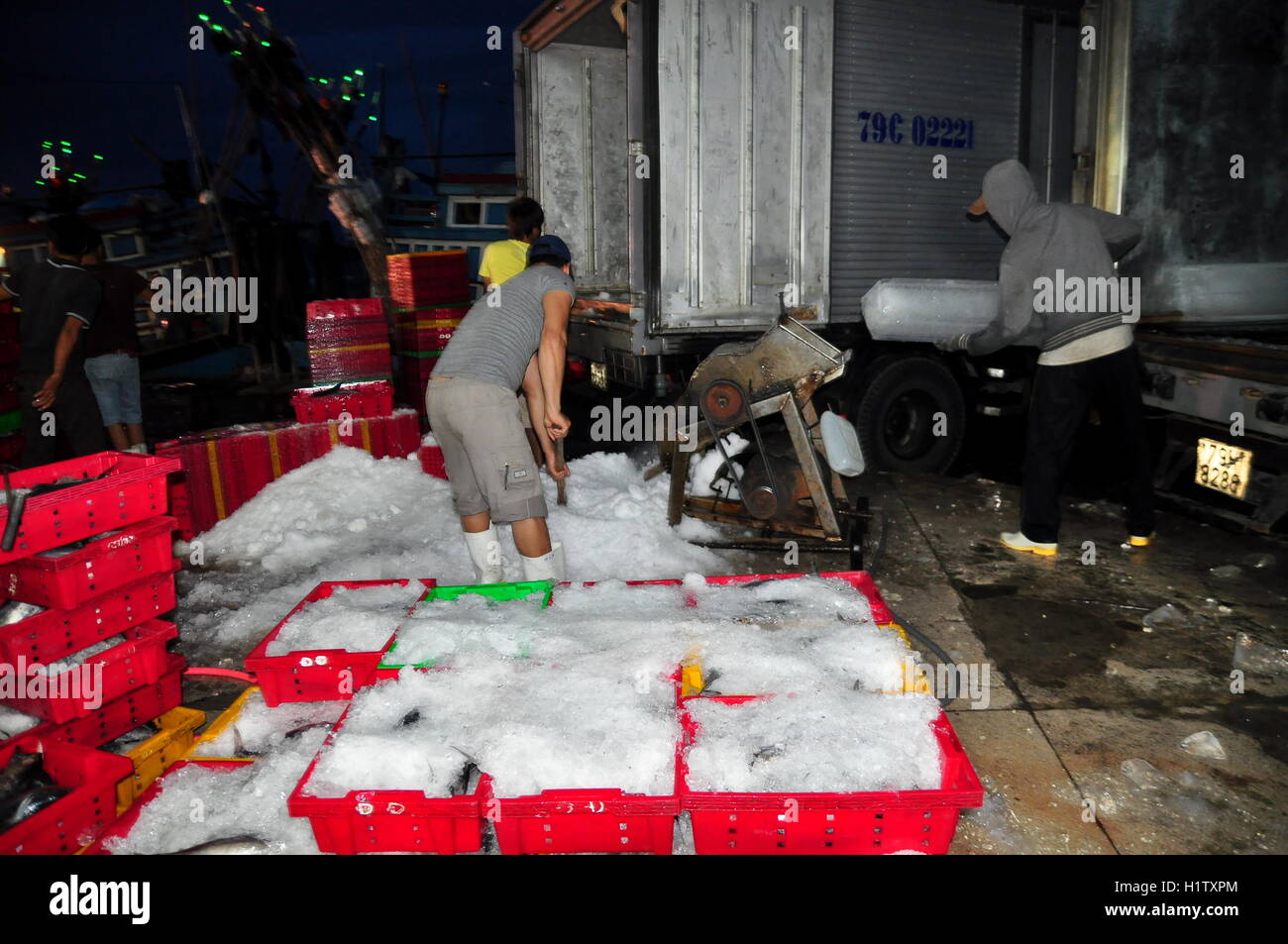 Nha Trang, Vietnam – 21. Februar 2013: Arbeiter Eis um Thunfisch in der Hon Ro-Hafenstadt Nha Trang Stadt zu wahren mahlen Stockfoto