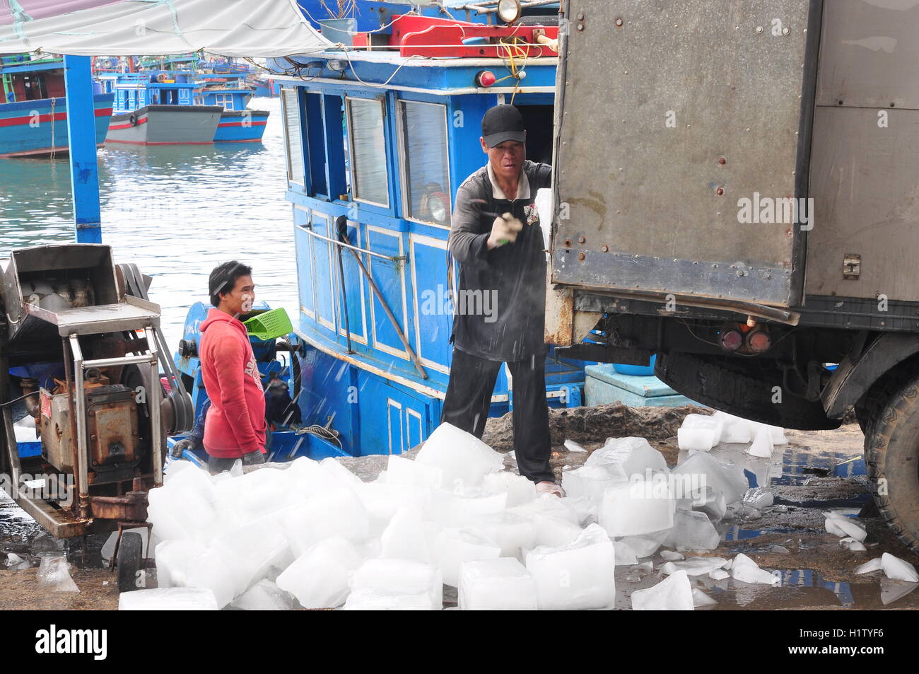 Nha Trang, Vietnam – 21. Februar 2013: Arbeiter Eis um Thunfisch in der Hon Ro-Hafenstadt Nha Trang Stadt zu wahren mahlen Stockfoto