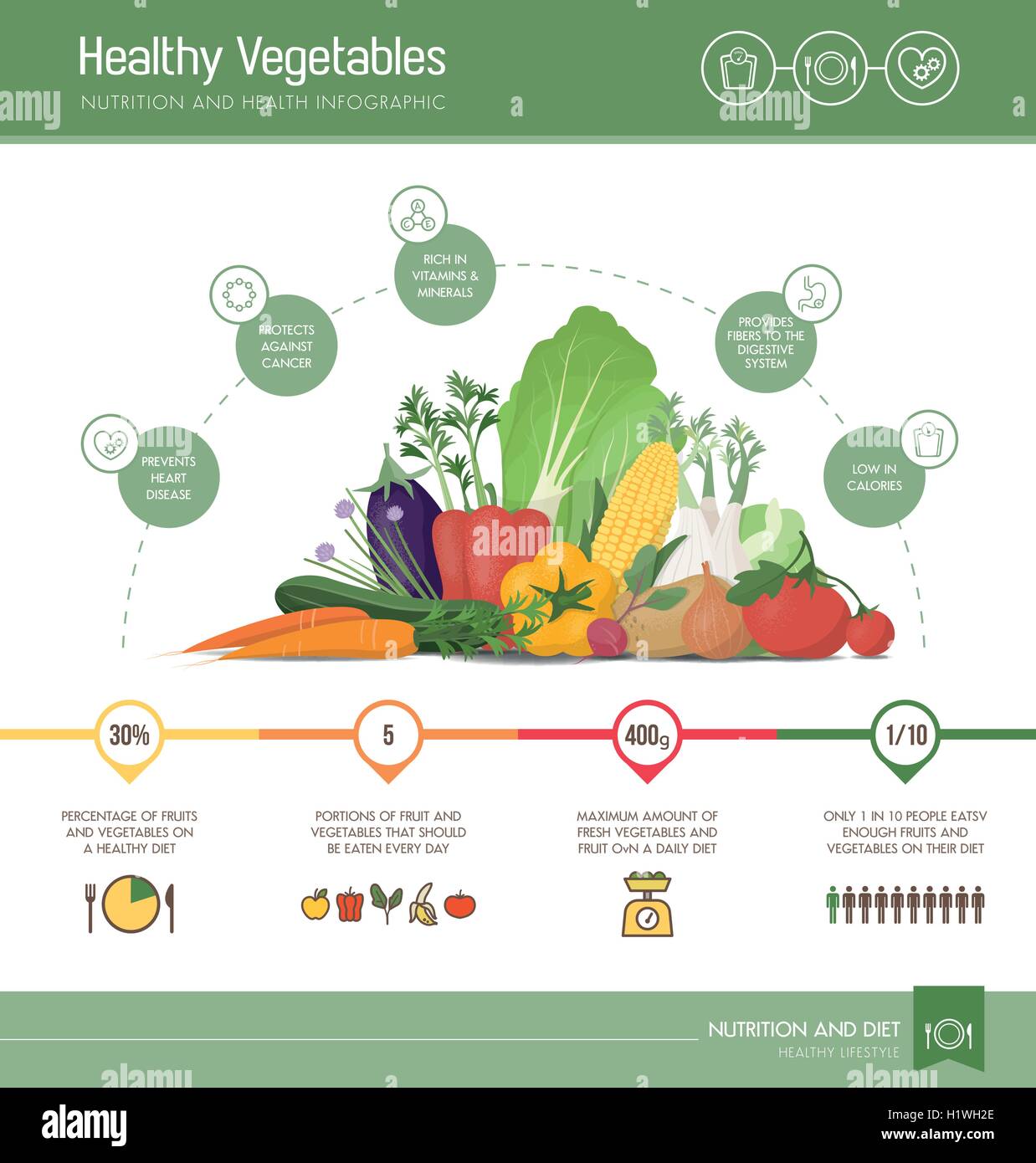 Gesunde Ernährung Infografik mit Gemüse Zusammensetzung, Ernährung Statistiken und Informationen Stock Vektor