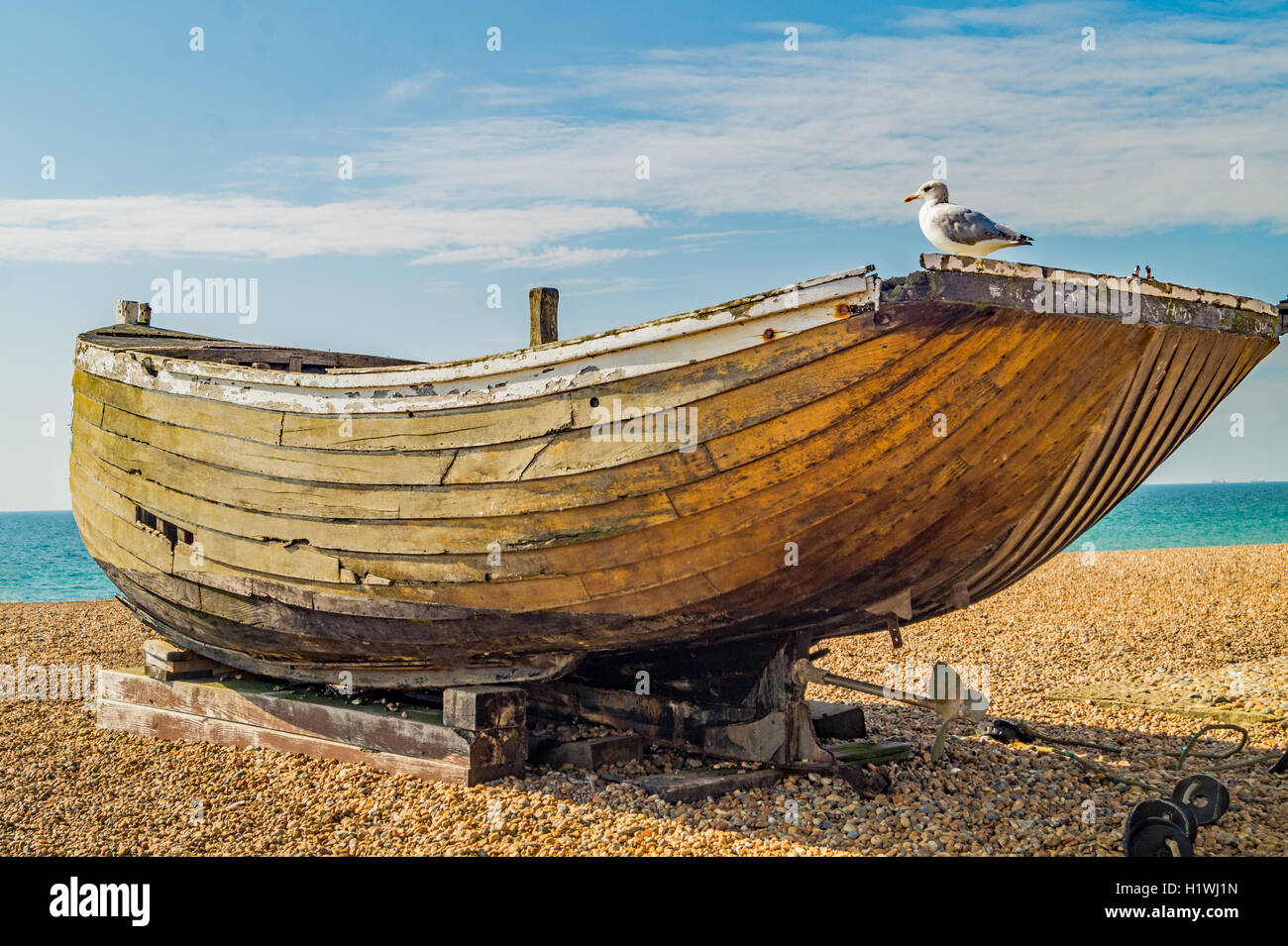Schiff prägen hier Kumpel. Eine Möwe sitzt auf einem baufälligen alten Boot Stockfoto