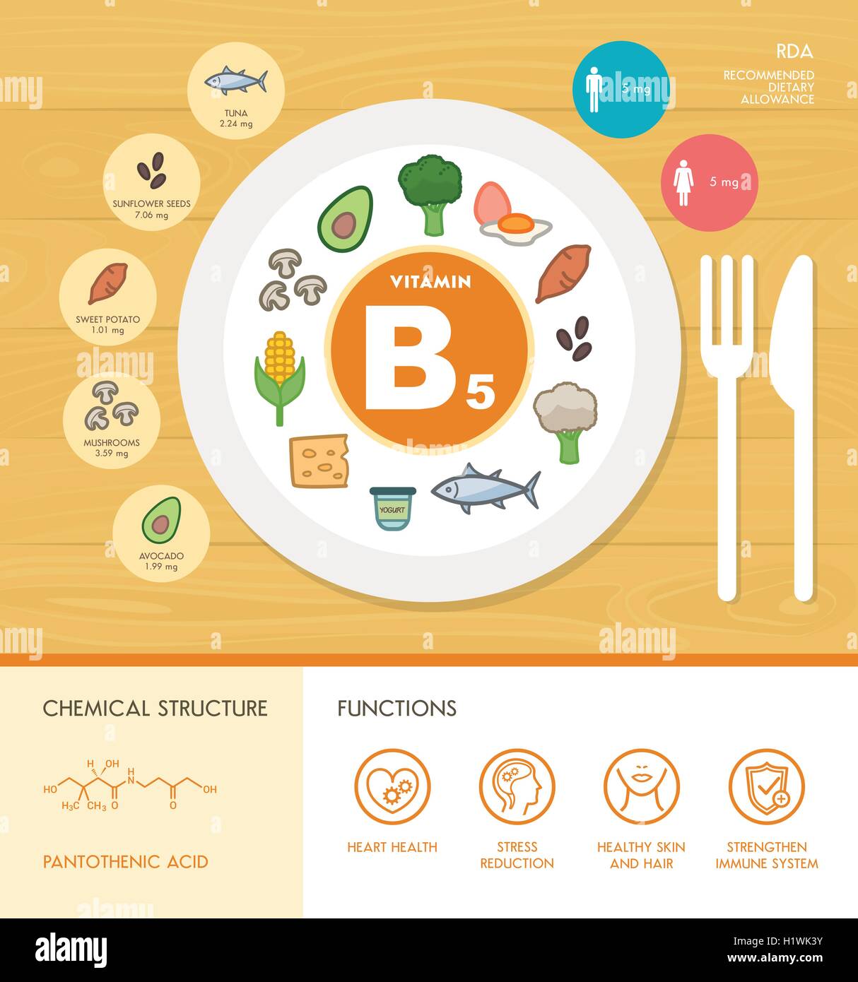 Vitamin B5 Ernährung Infografik mit Medizin- und Lebensmitteltechnik Symbole: Ernährung, gesunde Ernährung und Wellness-Konzept Stock Vektor