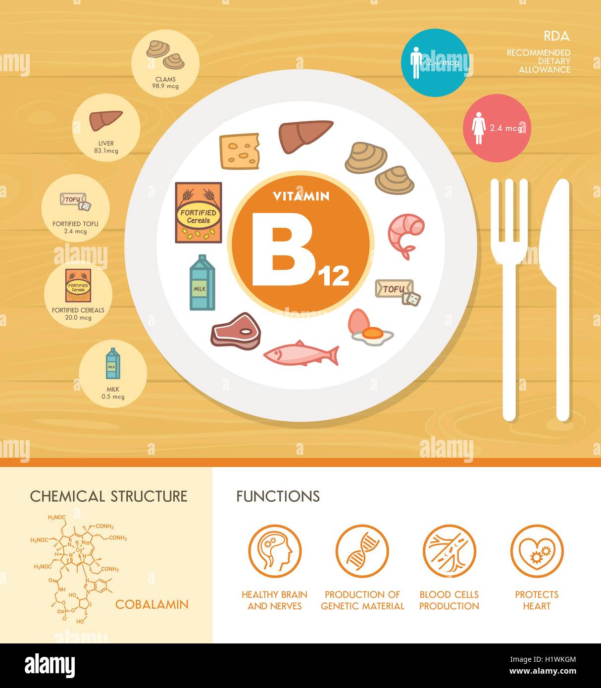 Vitamin B12 Ernährung Infografik mit Medizin- und Lebensmitteltechnik Symbole: Ernährung, gesunde Ernährung und Wellness-Konzept Stock Vektor