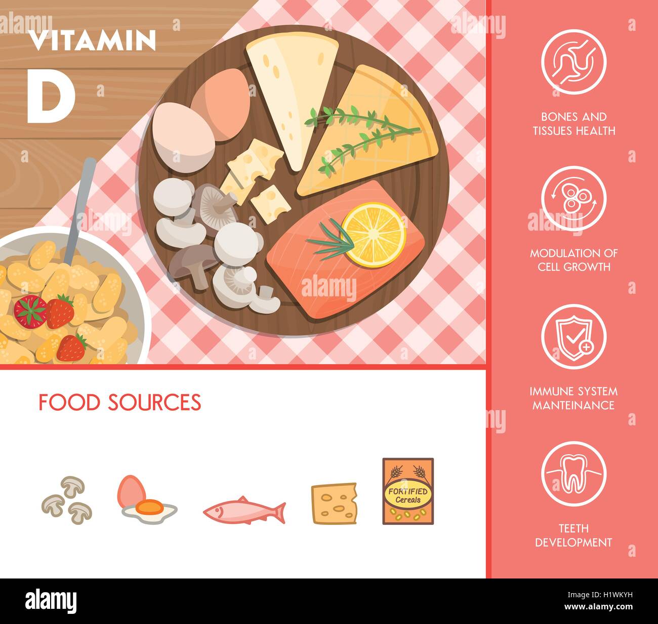 Nahrungsquellen für Vitamin D und nutzen für die Gesundheit, Champignons, Käse, Eiern und Lachs auf einem Schneidebrett Stock Vektor