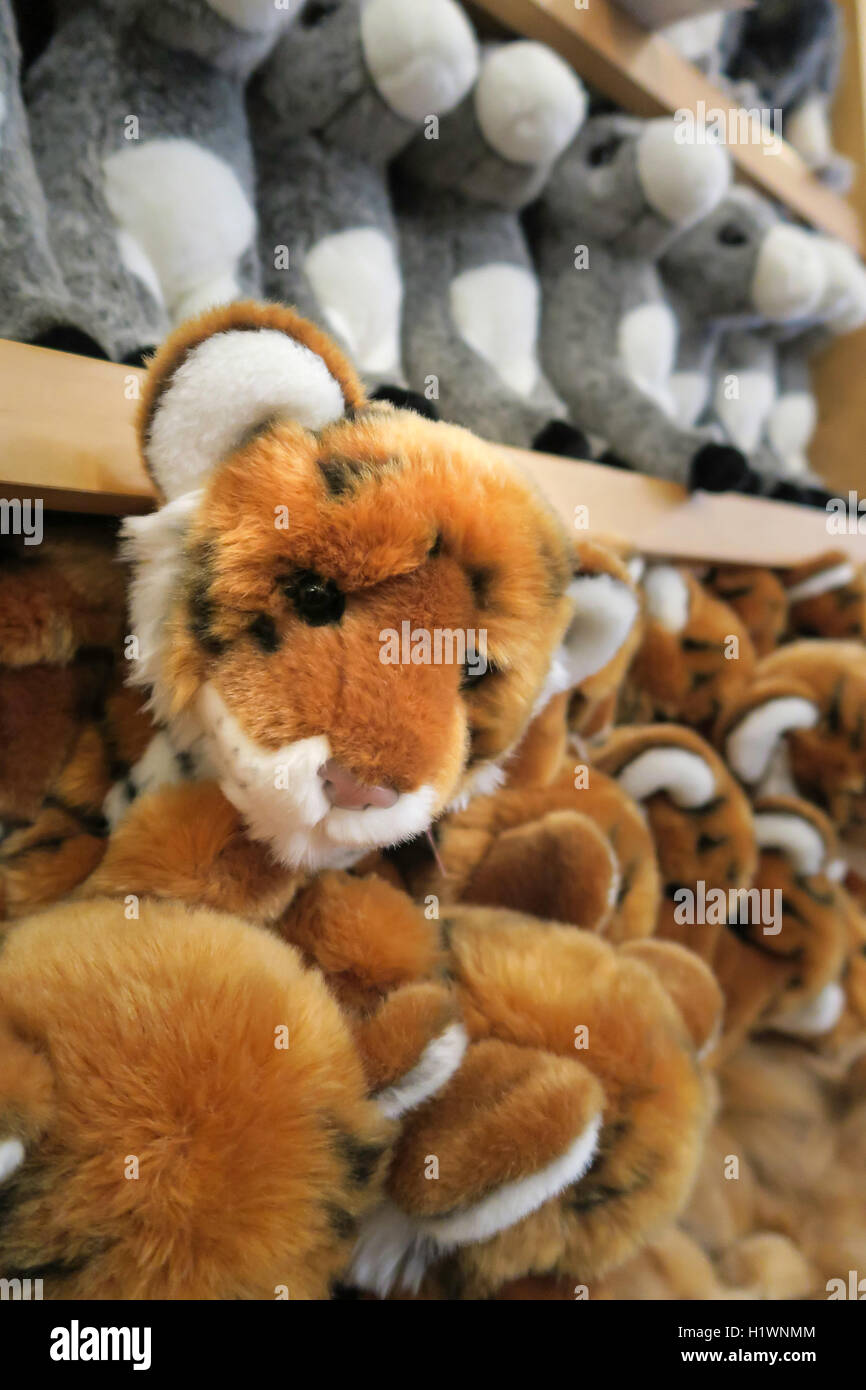 Souvenirladen Stuffies im Bronx Zoo, Wildlife Conservation Society, Bronx Park, Bronx, NYC Stockfoto