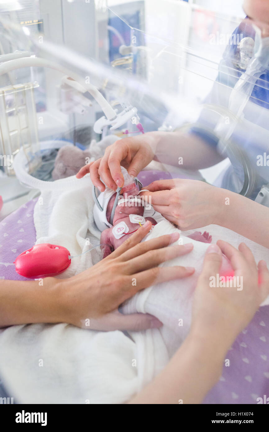 Vorzeitigen Neugeborenen unter Unterstützung der Atmung gelegt. Stockfoto