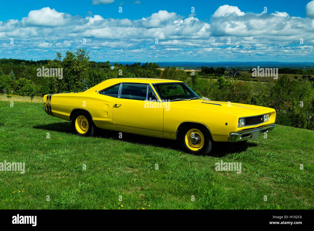 1968 Dodge Superbee Stockfoto