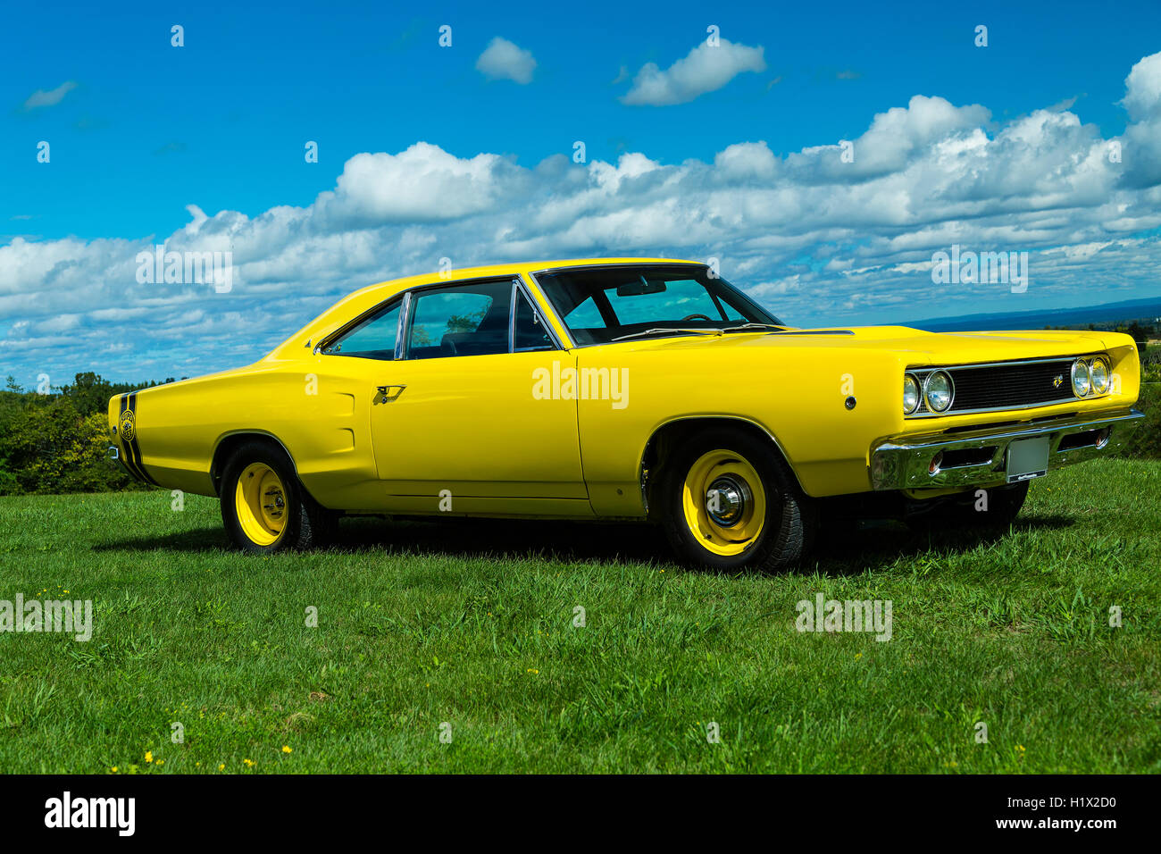 1968 Dodge Super Bee Stockfoto