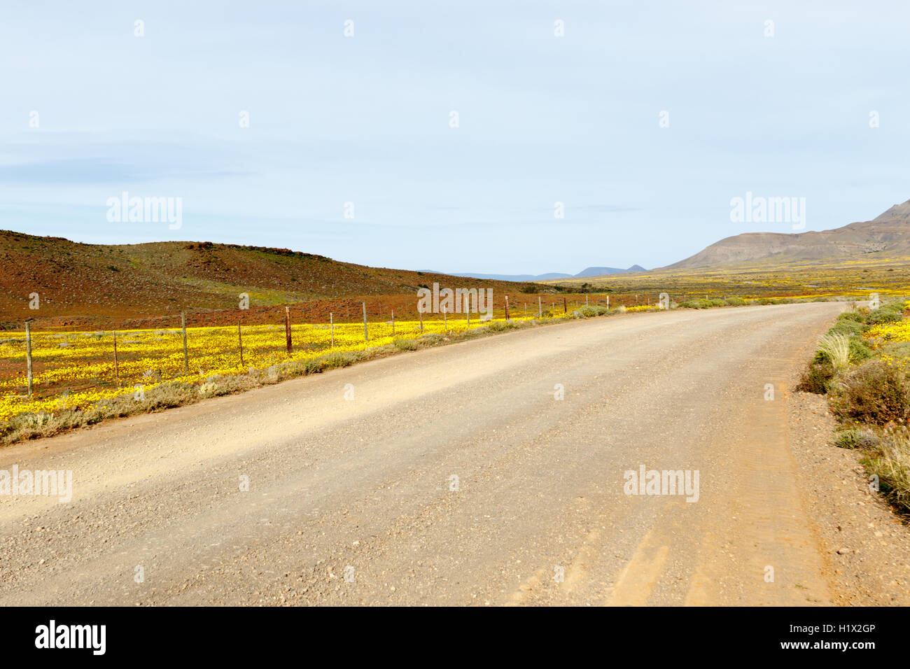 Der braune Weg zum Tankwa-Karoo ist irgendwo in diesem offenen Raum auf der Karte. Stockfoto