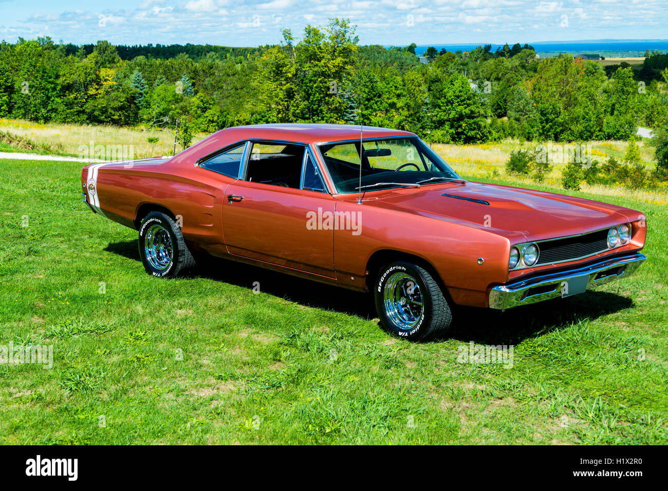 1968 Dodge Super Bee Stockfoto