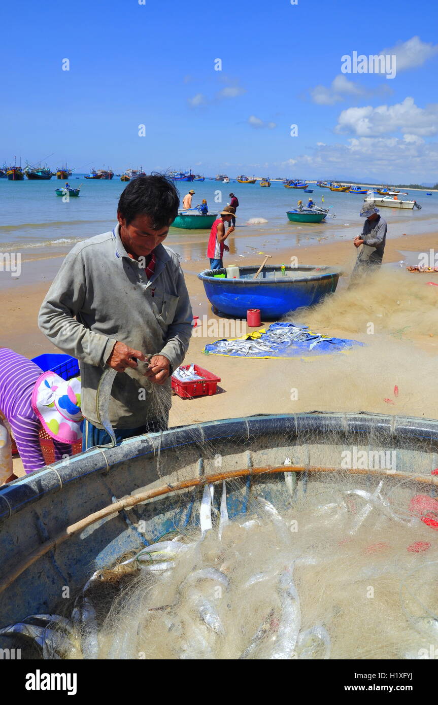 Lagi, Vietnam - 26. Februar 2012: Lokale Fischer sind Fische aus ihrer Fischernetze am Strand Lagi entfernen Stockfoto