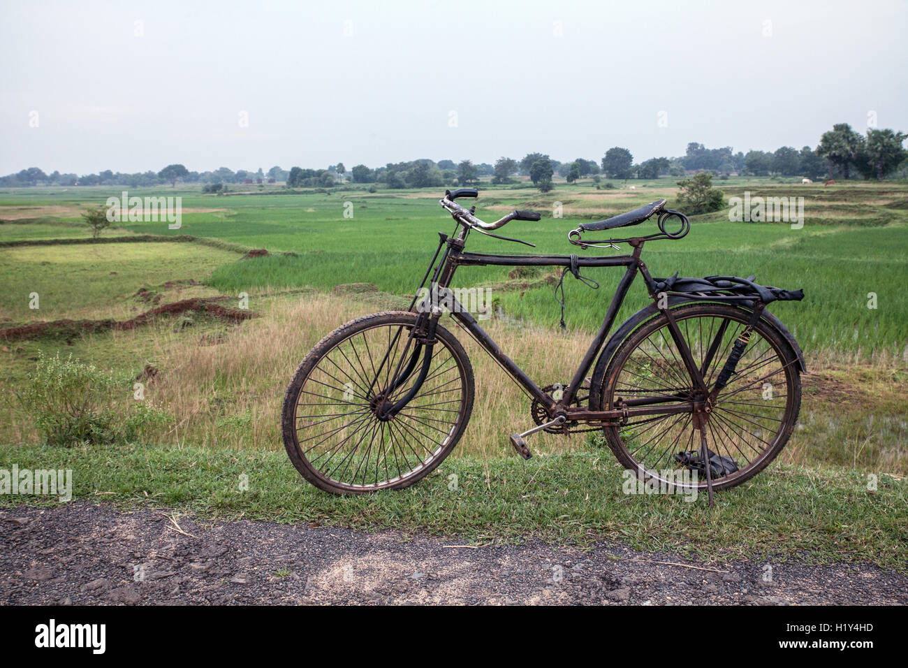 Altes Fahrrad vor Reisfelder in Indien Stockfoto