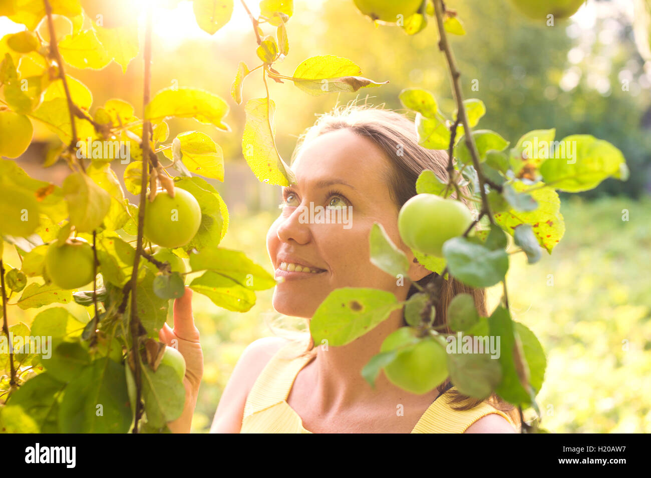 Lächelnde Frau unter einem Apfelbaum Stockfoto