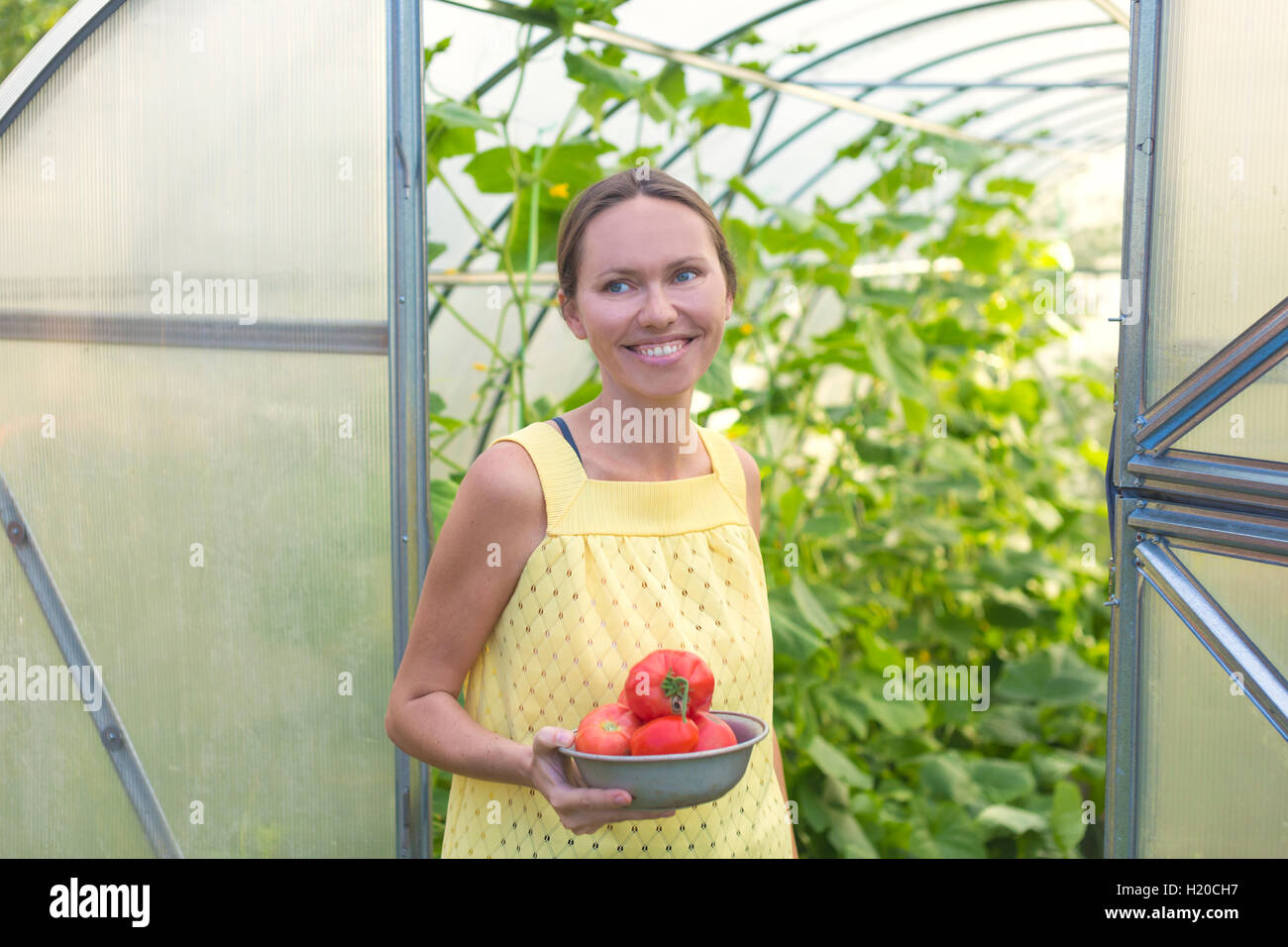 Glückliche Frau mit Schüssel geernteten Tomaten vor Gewächshaus Stockfoto