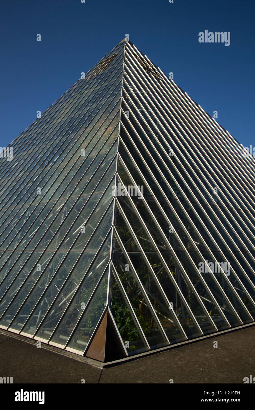 Pyramide-Glashaus, Abschnitt Tropenpflanze Royal Botanical Gardens Sydney Australia untergebracht Stockfoto