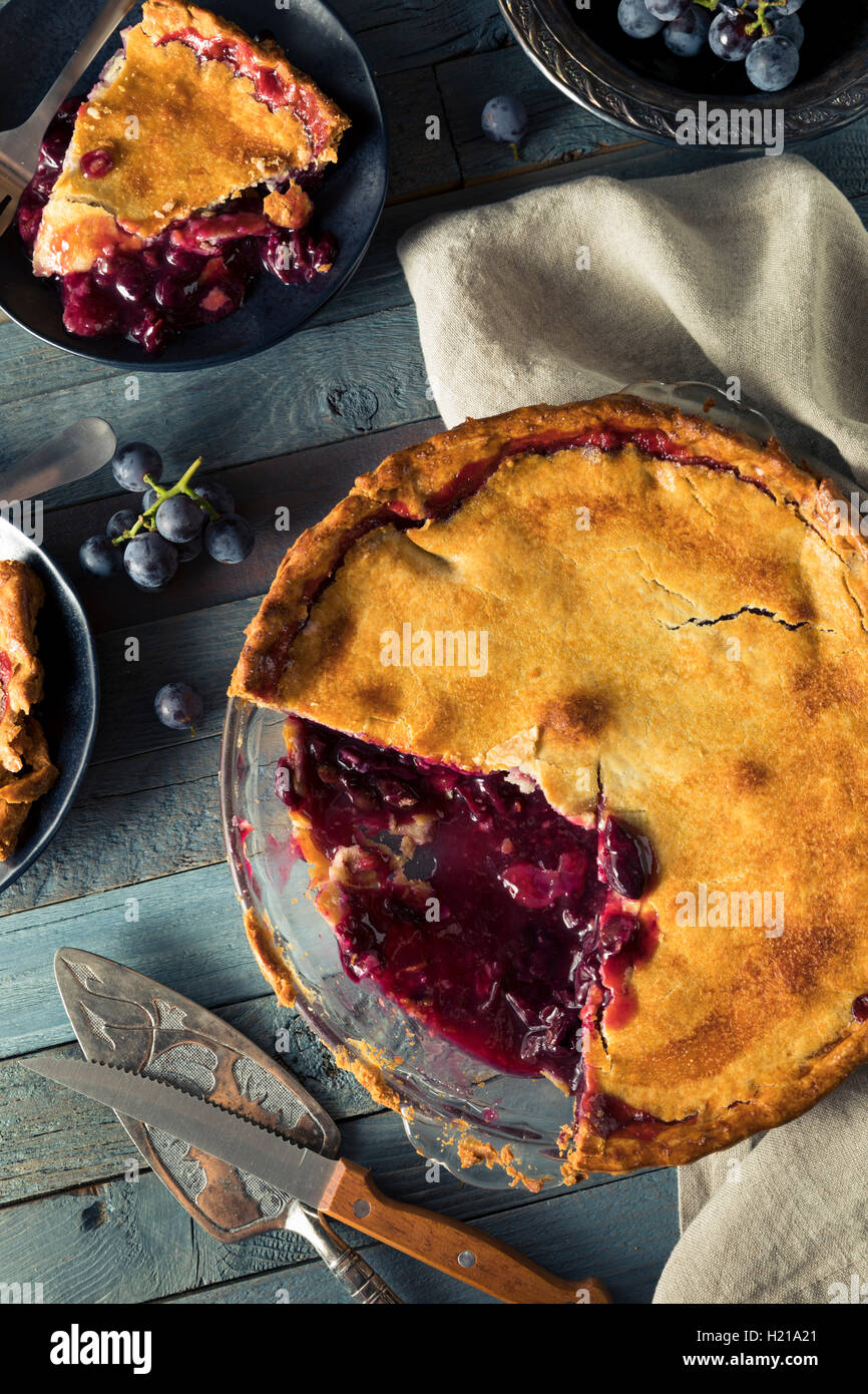 Hausgemachte süße Concord Grape Pie verzehrfertige Stockfoto