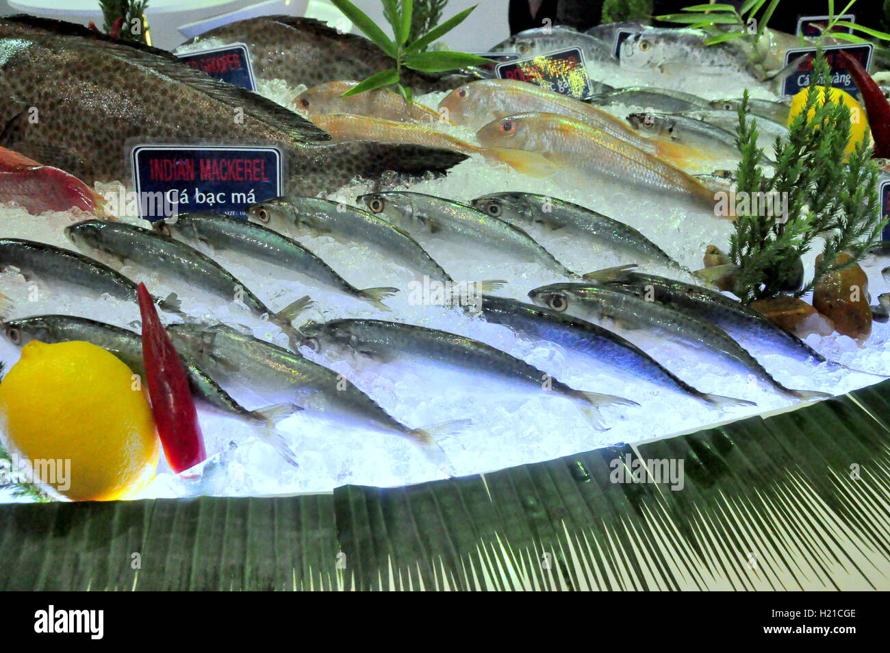 Ho-Chi-Minh-Stadt, Vietnam - 25. August 2015: frischen Fisch und Meeresfrüchte werden bei einer Meeresfrüchte-Show in Vietnam eingeführt Stockfoto