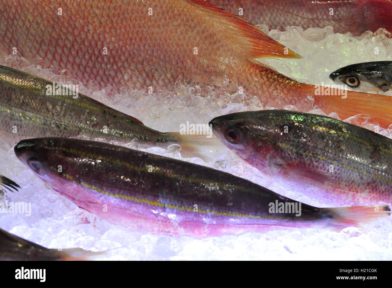 Ho-Chi-Minh-Stadt, Vietnam - 25. August 2015: frischen Fisch und Meeresfrüchte werden bei einer Meeresfrüchte-Show in Vietnam eingeführt Stockfoto