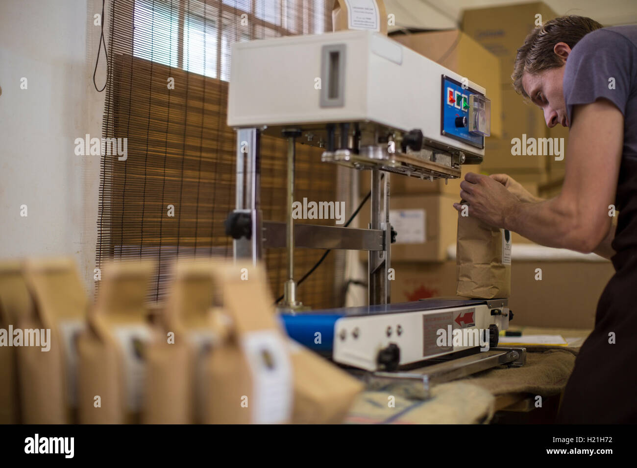 Mann, der arbeitet bei Kaffeebohne Verpackung Vakuumiergerät Stockfoto