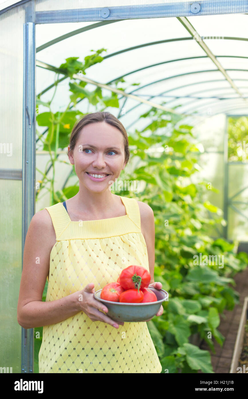 Glückliche Frau mit Schüssel geernteten Tomaten vor Gewächshaus Stockfoto