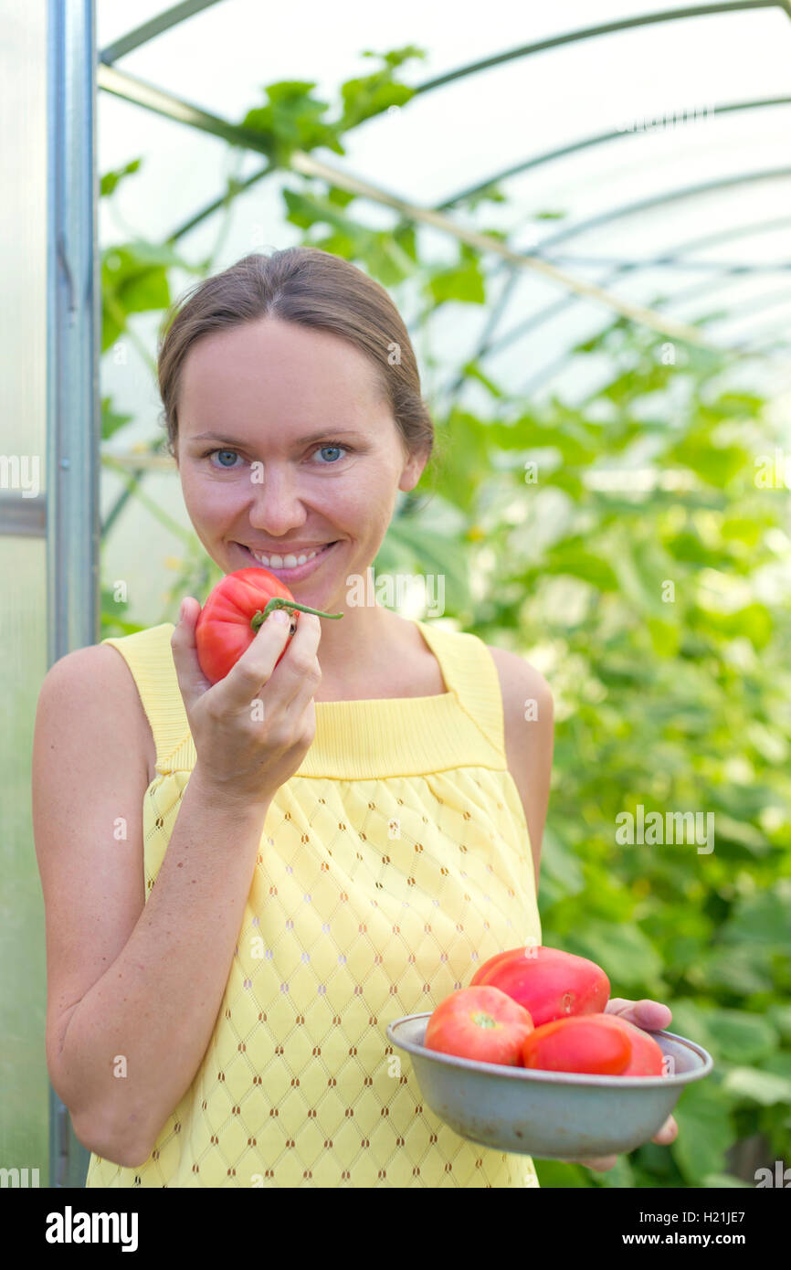 Porträt der glückliche Frau mit Schüssel geernteten Tomaten vor Gewächshaus Stockfoto