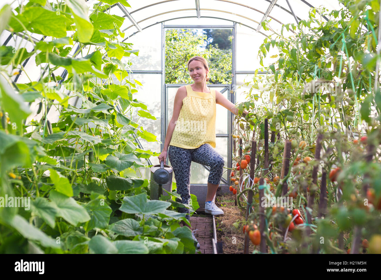 Frau mit Gießkanne in einem Gewächshaus Stockfoto