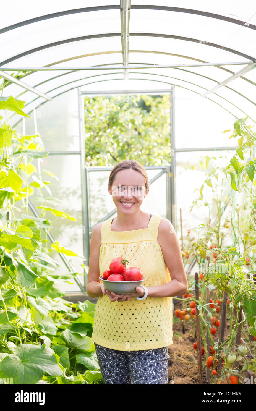 Lächelnde Frau mit Schüssel geernteten Tomaten im Gewächshaus Stockfoto