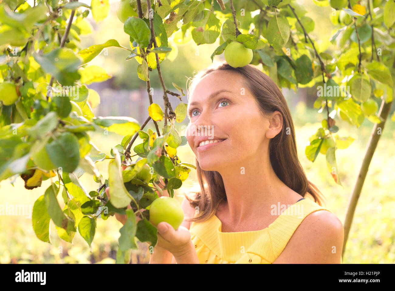 Lächelnde Frau unter einem Apfelbaum Stockfoto