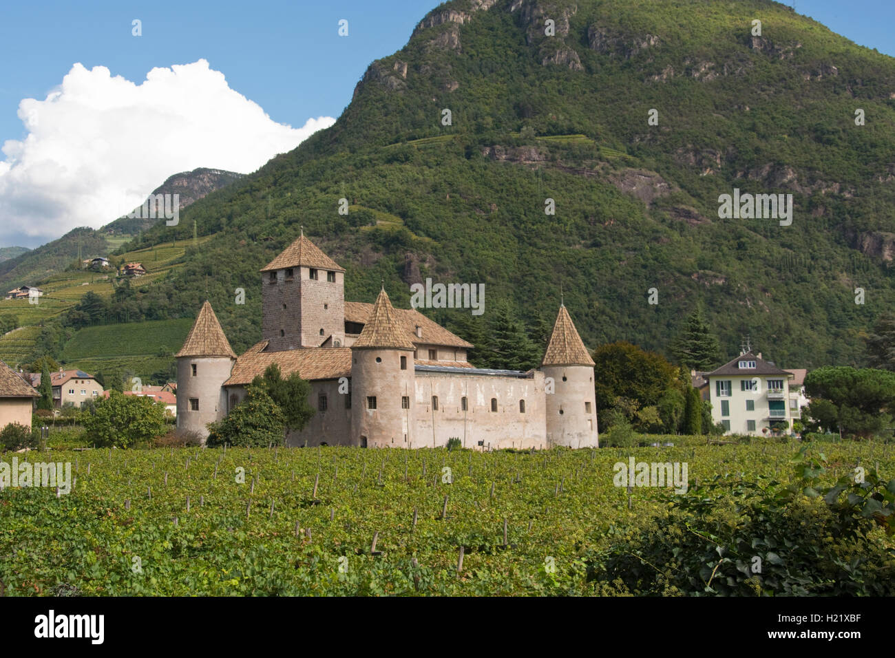 Europa, Italien, Provinz Bozen, Bolzano (Bozen), Maretsch Schloss (Burg Maretsch oder Castello Mareccio) umgeben von Weinbergen Stockfoto