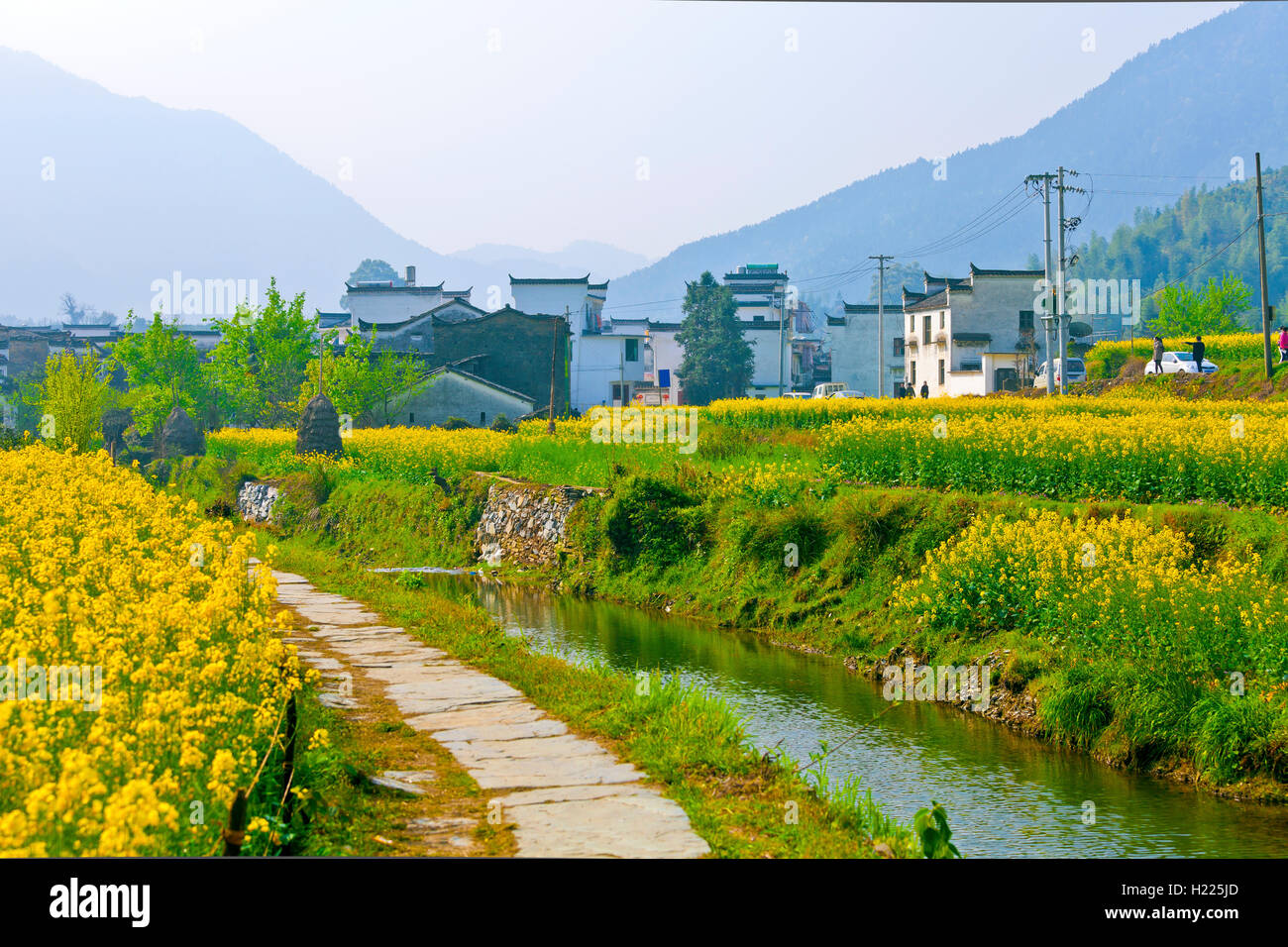Landschaft und Häuser in Wuyuan, China. Stockfoto