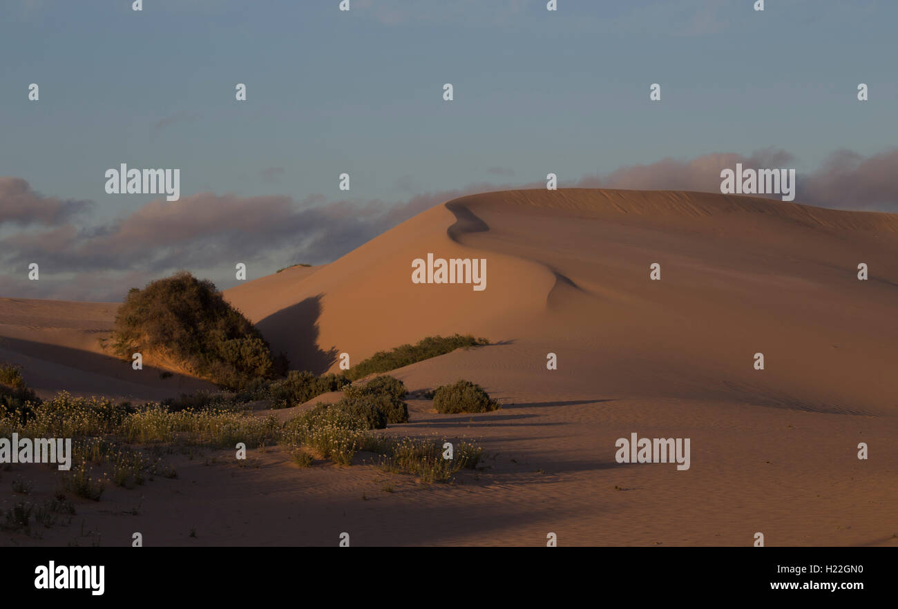 Sanddünen im Vigars gut an den Wänden von New South Wales Australien China Mungo National Park Stockfoto