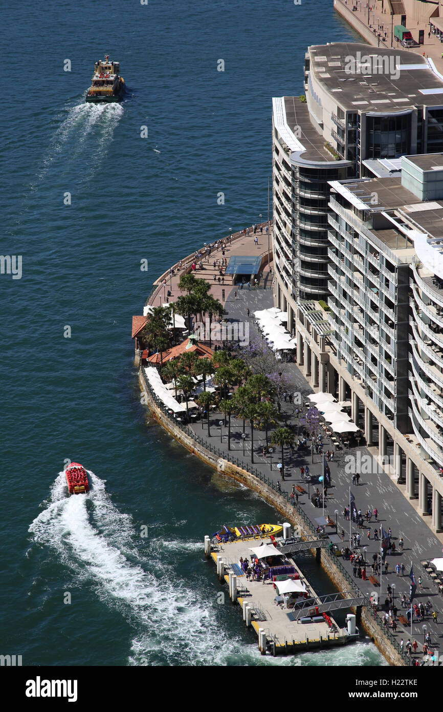 Sydney Harbour Jetboot touristischen Verkehrsdienst Circular Quay Sydney CBD New South Wales Australien Stockfoto