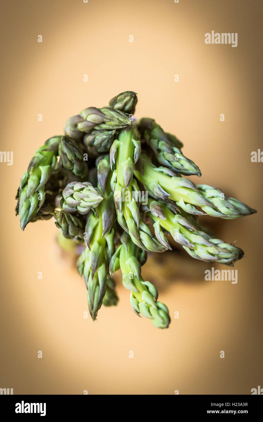 Spargel (Spargel Officinalis). Stockfoto