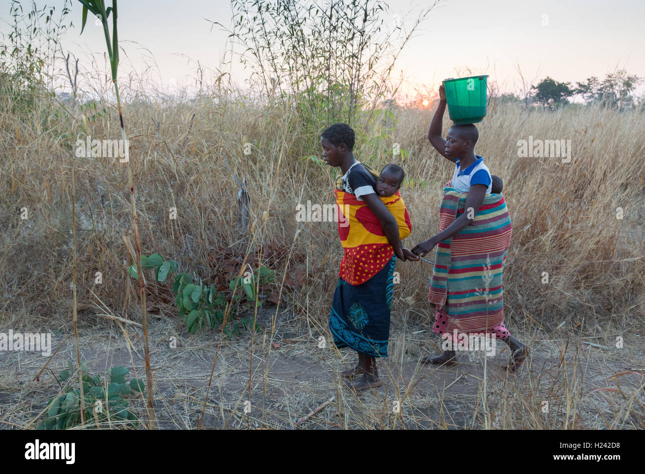 Lalaua District, Provinz Nampula, Mosambik, August 2015: Laurinda Diago mit bilateralen Katarakt zu Hause.  Blind zu sein, braucht sie Hilfe, um Wasser aus einem nahe gelegenen Brunnen zu holen.    Foto: Mike Goldwater Stockfoto
