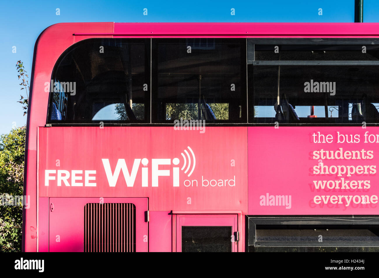 Kostenloses WiFi an Bord rosa Doppeldecker-bus Stockfoto