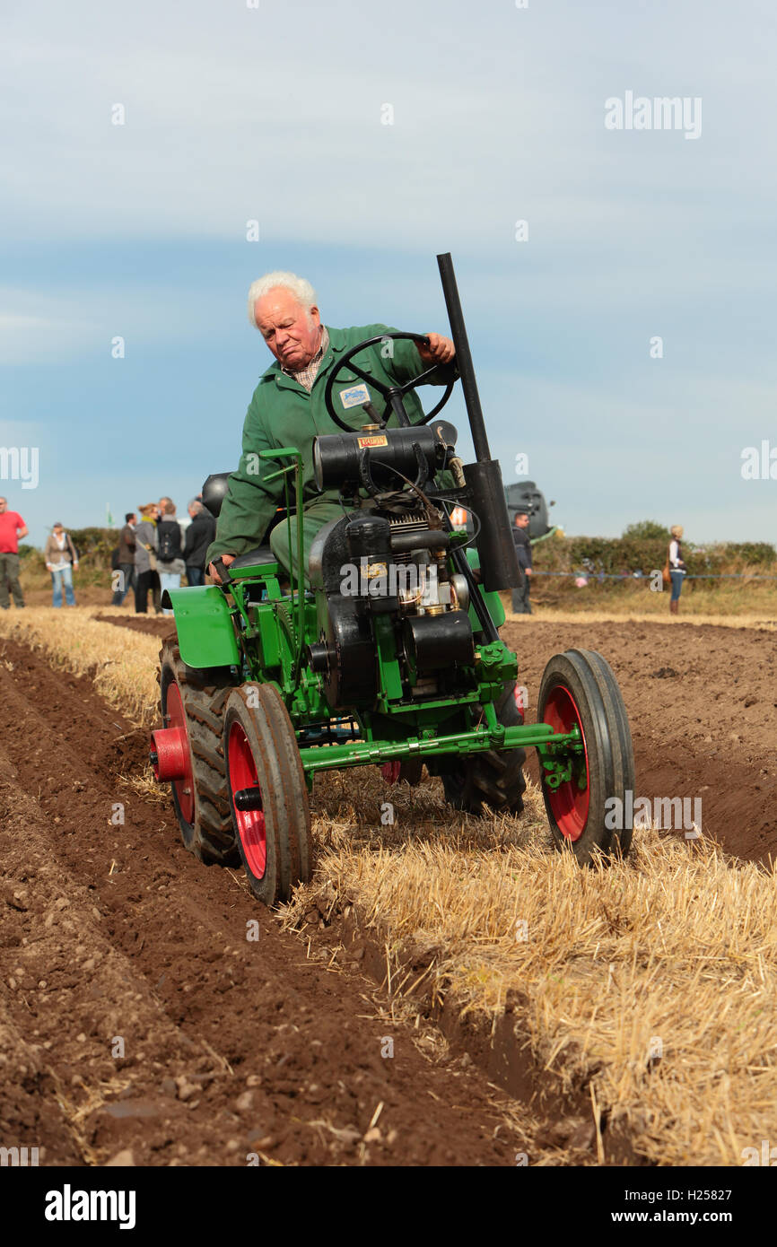 Farnsfield, Nottinghamshire UK. 24. September 2016. Ein Konkurrent am Pflügen Wettbewerb bei Southwell Pflügen Match teilnehmen.  Bildnachweis: Peter Hutmacher/Alamy Live-Nachrichten Stockfoto