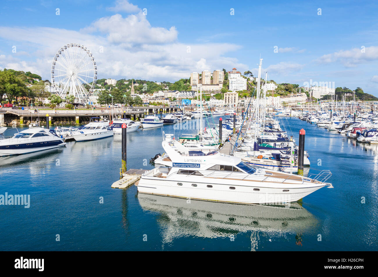 Luxus-Yachten und Boote vertäut am englischen Riviera Torquay Marina Torquay Devon England UK GB Europa EU Stockfoto